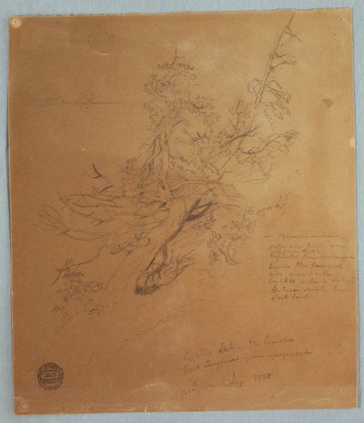 Rauer Baum an der kanadischen Bank unterhalb der Niagarafälle, September 1856 von Frederic Edwin Church