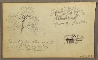 Zeichnung, Straßenecke in Guaquil, Ecuador; Verso: Botanische Skizzen, Haus, Ecuador oder Kolumbien, 1857 von Frederic Edwin Church
