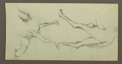 Studie von Kamelbeinen, möglicherweise 1868 von Frederic Edwin Church
