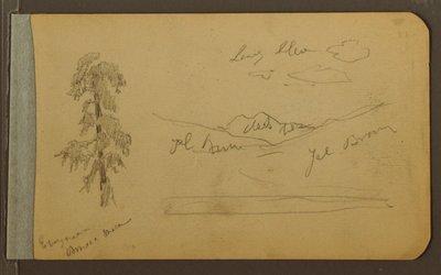 Baum, Berge, 1889 von Frederic Edwin Church