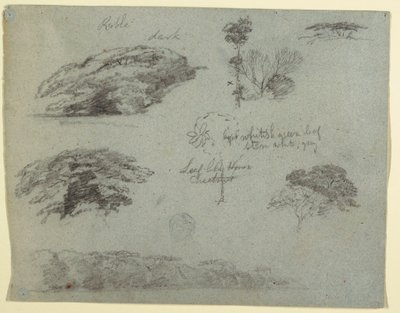 Bäume, Baumwipfel und ein bewaldetes Ufer, Saddleback, Maine, 1853 von Frederic Edwin Church