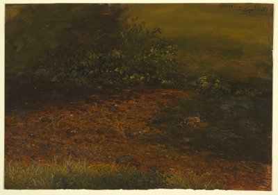 Zeichnung, Waldstrom in den Catskills, September 1848 von Frederic Edwin Church