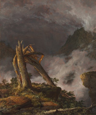 Sturm in den Bergen, 1847 von Frederic Edwin Church