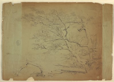 Landschaft mit Bäumen und einem Bach [?], Grand Manan Island, Kanada von Frederic Edwin Church