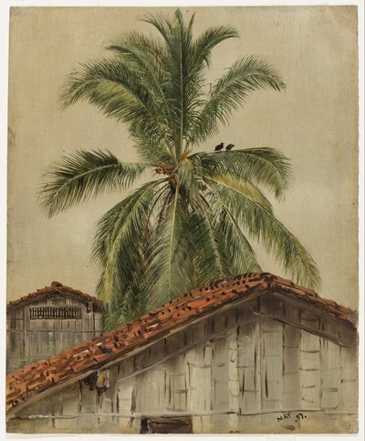 Palmen und Hausdächer, Ecuador von Frederic Edwin Church