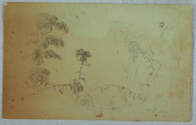 Studien von Bäumen mit Details von Bambus und einem kleinen Detail eines Mannes, der Bananen auf dem Kopf trägt, Bellevue, Jamaika von Frederic Edwin Church
