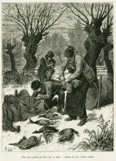 Entenfang im Netz. Gravur von Lix zur Illustration der Geschichte A Travers l