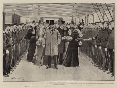 Der königliche Besuch des Hospitalschiffs Princess of Wales in Tilbury von Frederic de Haenen