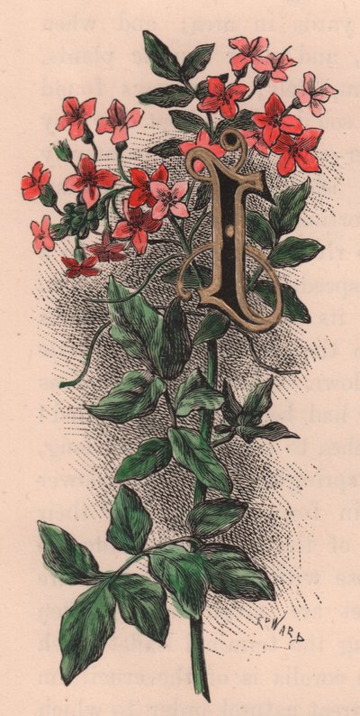 Buchstabe I, Initiale, Aquarellgravur, ca. 10x5 cm, von Frederick Edward Hulme aus 