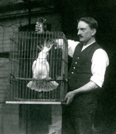 Ein Wärter hält einen Gelbhaubenkakadu, Jade, in seinem Käfig im Londoner Zoo im Oktober 1924 von Frederick William Bond