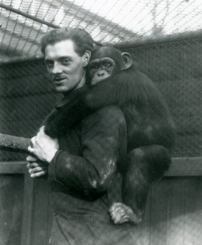 Ein Mann trägt Schimpansin Sally auf seinem Rücken, London Zoo, 1924 von Frederick William Bond