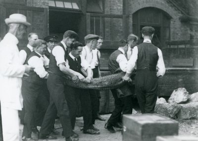 Ein Team von Männern trägt einen Alligator, überwacht von Sir Peter Chalmers Mitchell, Londoner Zoo, 1924 von Frederick William Bond