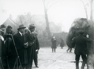 Ein indischer Elefant, möglicherweise Sundermalah, nimmt an einer Außenübertragung aus dem London Zoo teil, 1925 von Frederick William Bond
