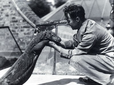 Komodowaran Sumbawa mit Wärter H. Alec Budd, 1928 von Frederick William Bond