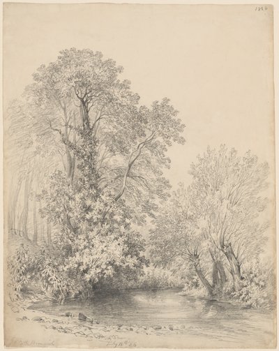 Bäume am Fluss bei Castle Bromwich von Frederick William Watts