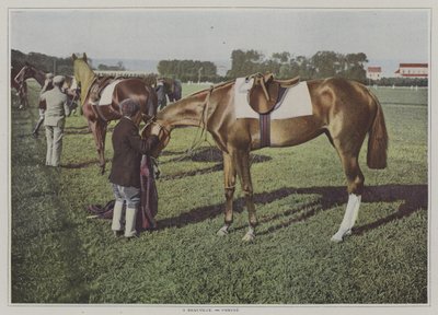 Rennpferde in Deauville, Frankreich von French Photographer