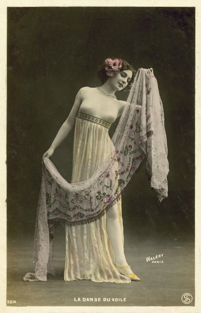 Der Schleiertanz von French Photographer