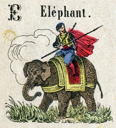 Abecedarium. Buchstabe E wie Elefant. Kleines enzyklopädisches Alphabet, beliebte Serie. Epinaler Bildgebung, Ende des 19. Jahrhunderts von French School