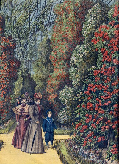 Akklimatisationsgarten - das Kamelienhaus - Kameliengewächshaus in einem botanischen Garten von French School