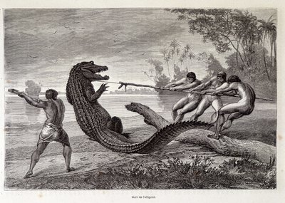 Alligatorjagd, Brasilien, „Rund um die Welt“ 2. Woche 1874 von French School