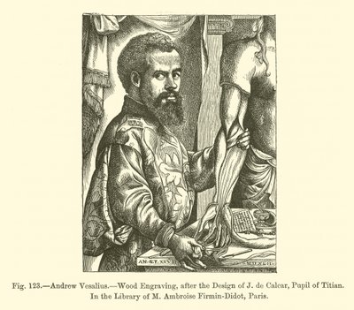 Andreas Vesalius (Gravur) von French School