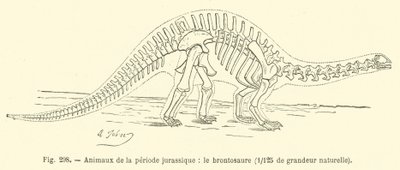 Tiere der Jura-Periode, der Brontosaurus von French School