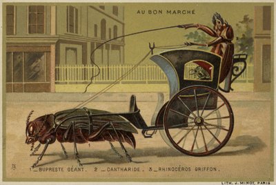 Au Bon Marché-Karten mit anthropomorphen Insekten von French School