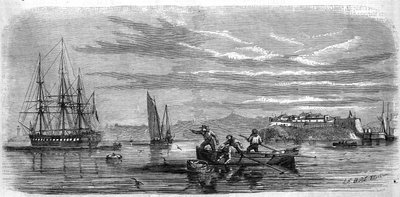 Baby gesammelt von den Moosen der Fregattenschule „Thetis“. Brest (Finistère, 29) von French School