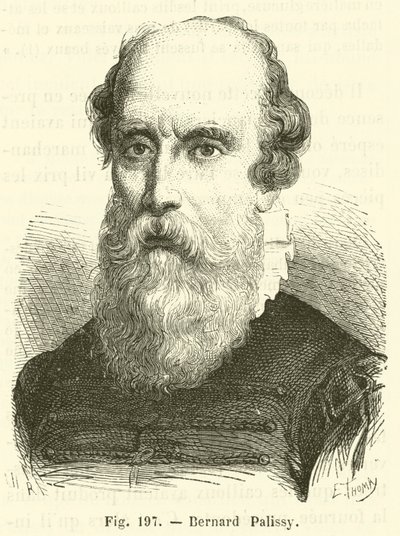 Bernard Palissy von French School