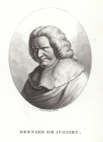 Bernard de Jussieu von French School