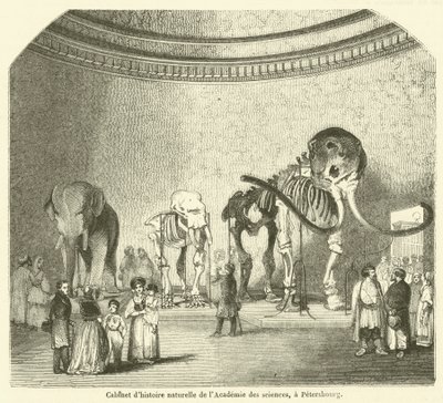 Naturkundekabinett der Akademie der Wissenschaften in Petersburg von French School