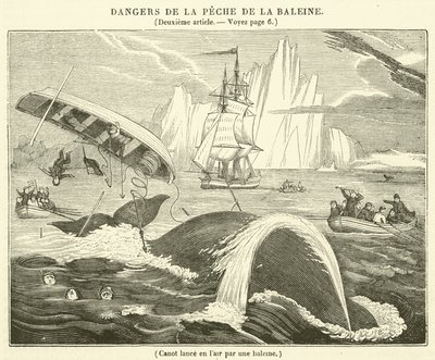 Boot in die Luft geschleudert von einem Wal (Gravur) von French School