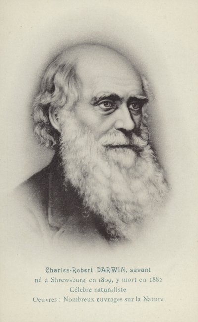 Charles Darwin, englischer Naturforscher von French School