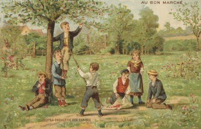 Kinder pflücken Kirschen von French School
