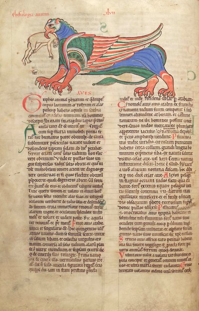 Ein Greif frisst einen Mann, aus Liber Floridus von Lambert de Saint-Omer, ca. 1120 von French School