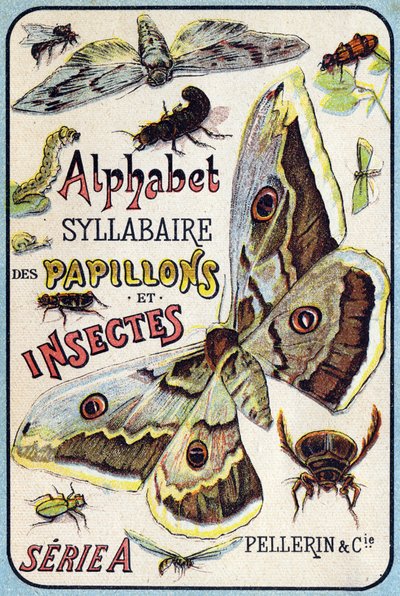 Deckblatt von "Syllabary alphabet of butterflies and insects". Serie A. Pellerin et Cie, Drucker-Verleger, Epinal, Ende des 19. Jahrhunderts. von French School