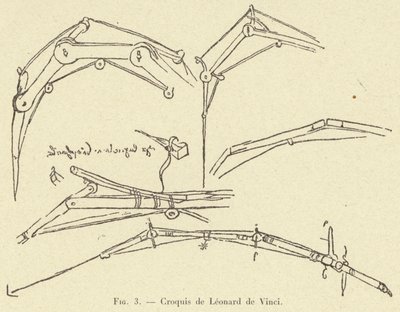 Skizzen von Leonardo da Vinci von French School