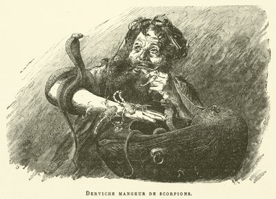Derwisch Skorpionesser von French School