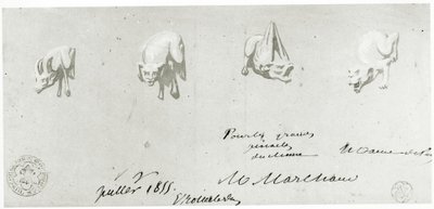 Zeichnung für die Restaurierung der Wasserspeier von Notre Dame, 1855 von French School
