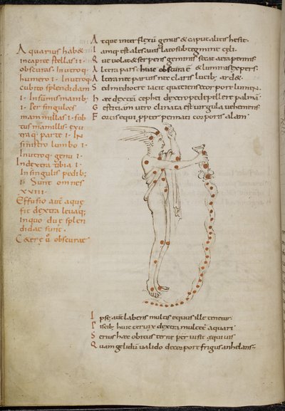 Zeichnung des Sternbildes Wassermann, mit roten Punkten markierte Sterne, aus 