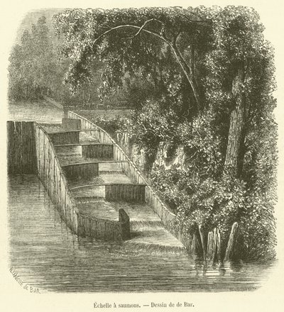 Lachsleiter von French School