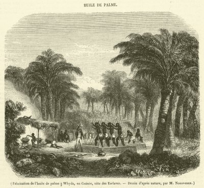 Herstellung von Palmöl in Whyda, Guinea, Sklavenküste von French School