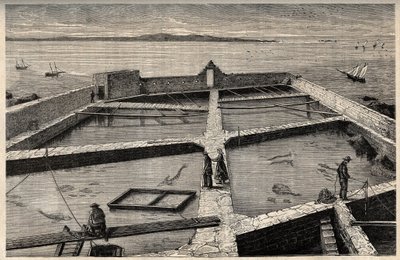 Fischzucht in Concarneau - Bretagne - Fischzuchtanlage - Concarneau - Finistère - Bretagne - Gravur in „PATRIE - DESCRIPTION PICTURESQUE DE LA FRANCE EN 6 VOLUMES“ von Lucien Huard - Ende des 19. Jahrhunderts von French School