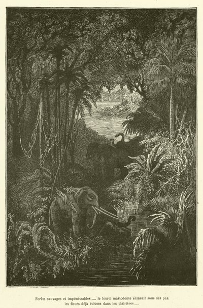 Wilde und undurchdringliche Wälder... der schwere Mastodon zertrampelte unter seinen Schritten die bereits in den Lichtungen erblühten Blumen (Gravur) von French School