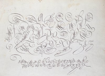 Französische Kalligraphie: Platte der Hauptstadt, Gravur von Frisius, Kalkograph des Königs von Robert Vignon im Garten des Schreibens um 1600. von French School