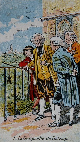 Galvanis Frosch, Illustration aus einer Serie von Karten über die 