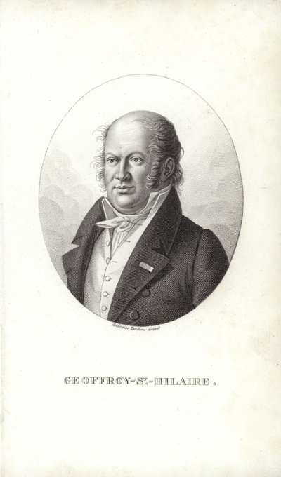 Geoffroy Saint-Hilaire von French School