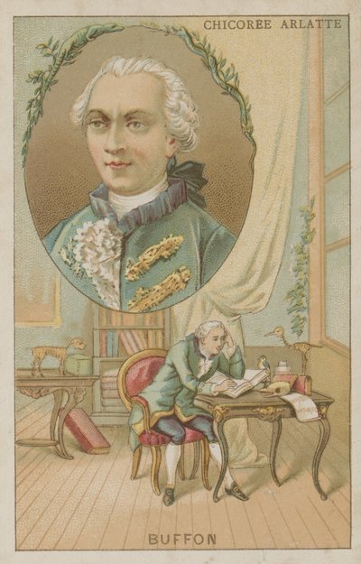 Georges-Louis Leclerc, Comte de Buffon von French School