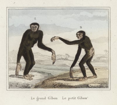 Gibbons von French School