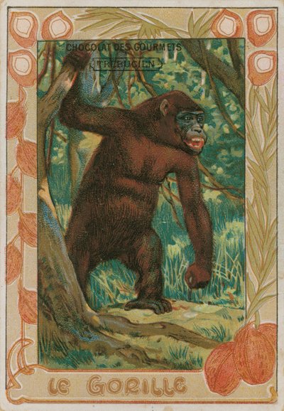 Gorilla von French School